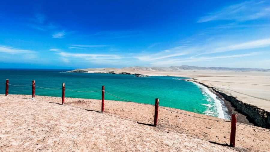 TOUR EN LA RESERVA NACIONAL DE PARACAS
