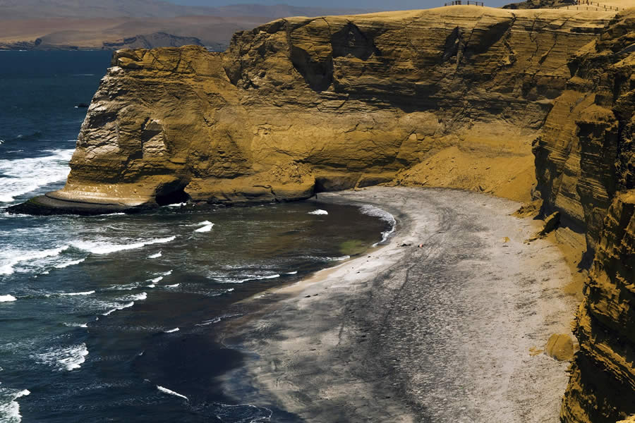 TOUR EN LA RESERVA NACIONAL DE PARACAS