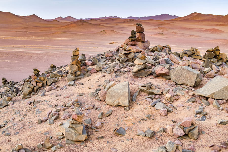 TOUR EN LA RESERVA NACIONAL DE PARACAS