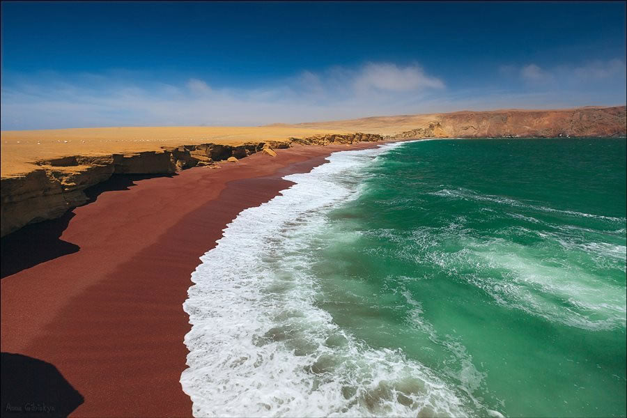 TOUR EN LA RESERVA NACIONAL DE PARACAS