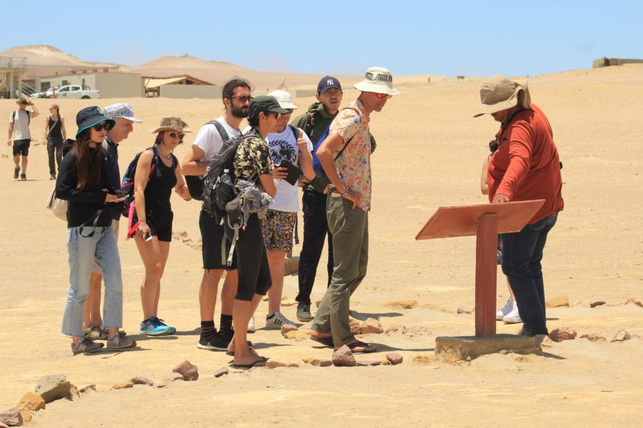 TOUR EN LA RESERVA NACIONAL DE PARACAS