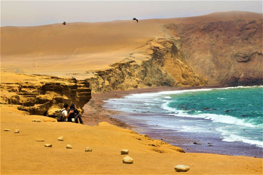 TOUR EN LA RESERVA NACIONAL DE PARACAS