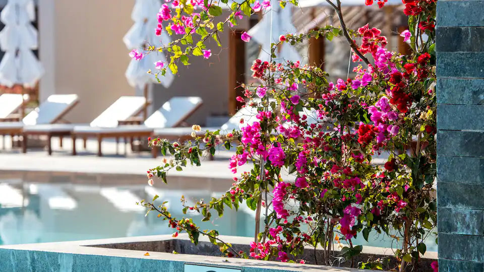 THE LEGEND PARACAS RESORT BAHÍA DE PARACAS