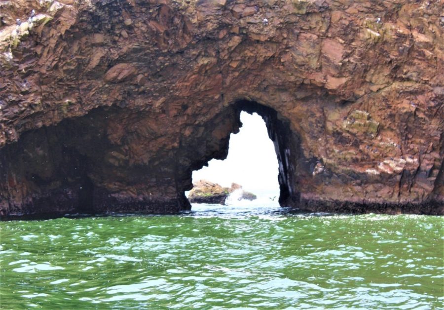 TOUR ISLAS BALLESTAS + BUGGIES SANDBOARDING PARACAS