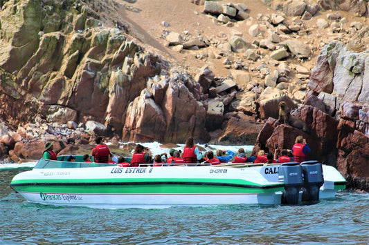 TOUR ISLAS BALLESTAS Y CUATRIMOTO EN LA RESERVA NACIONAL DE PARACAS