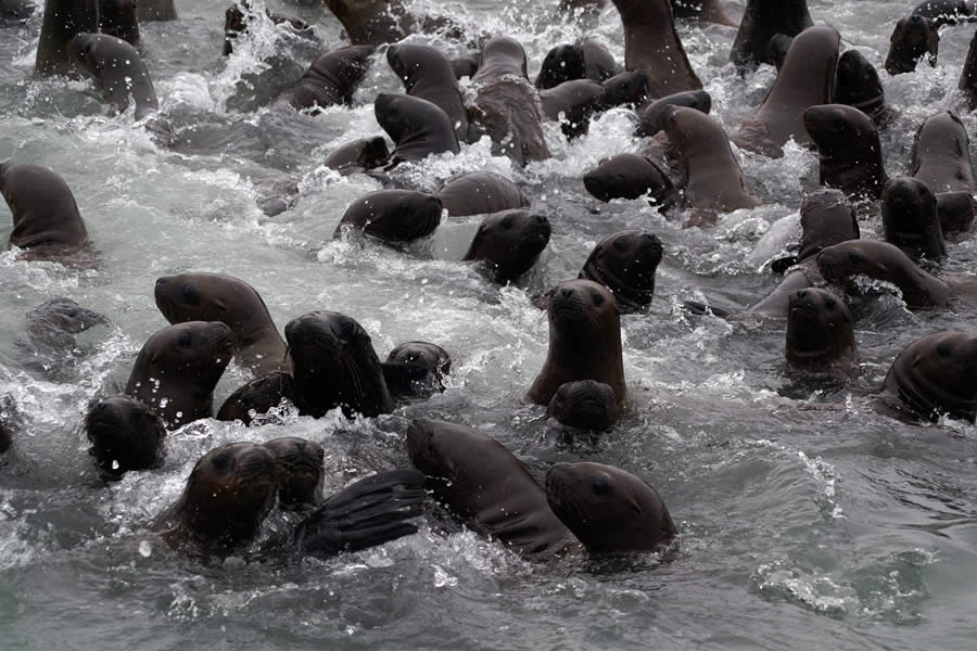 TOUR ISLAS BALLESTAS Y CUATRIMOTO EN LA RESERVA NACIONAL DE PARACAS