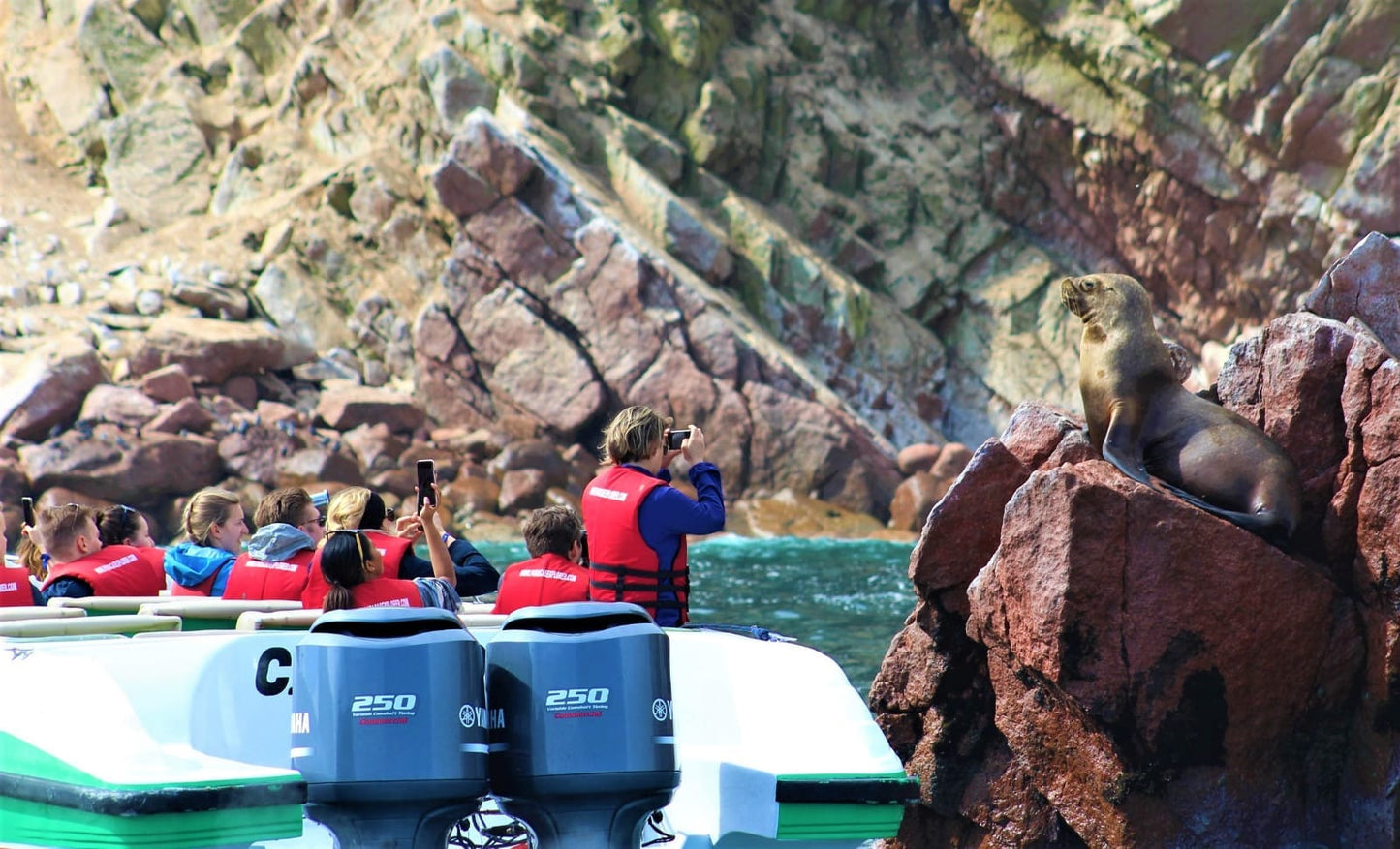 TOUR ISLAS BALLESTAS + SCOOTER PARACAS