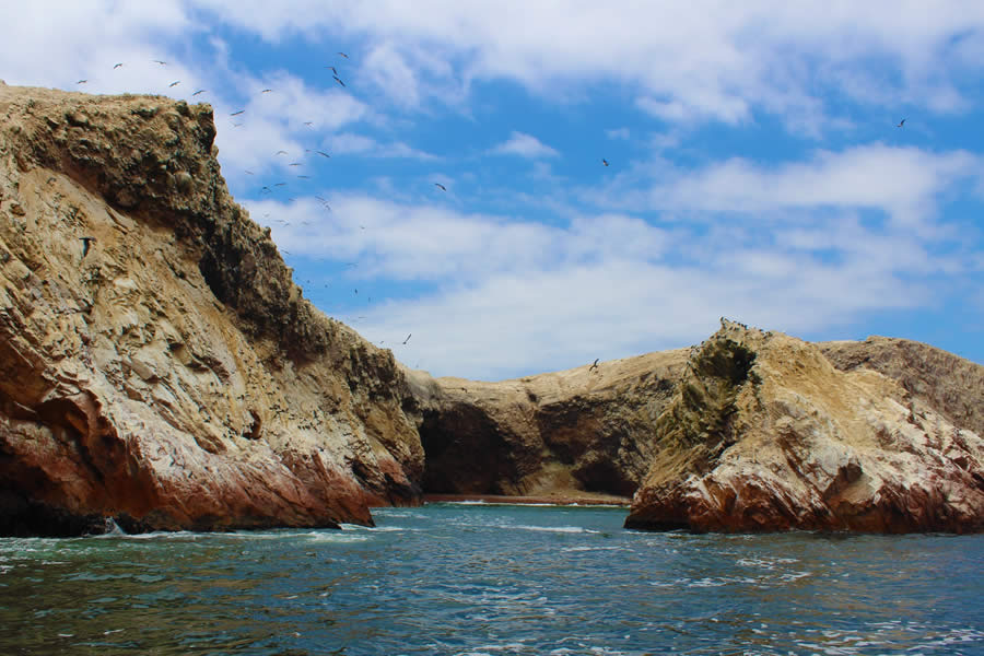 TOUR ISLAS BALLESTAS + SCOOTER PARACAS
