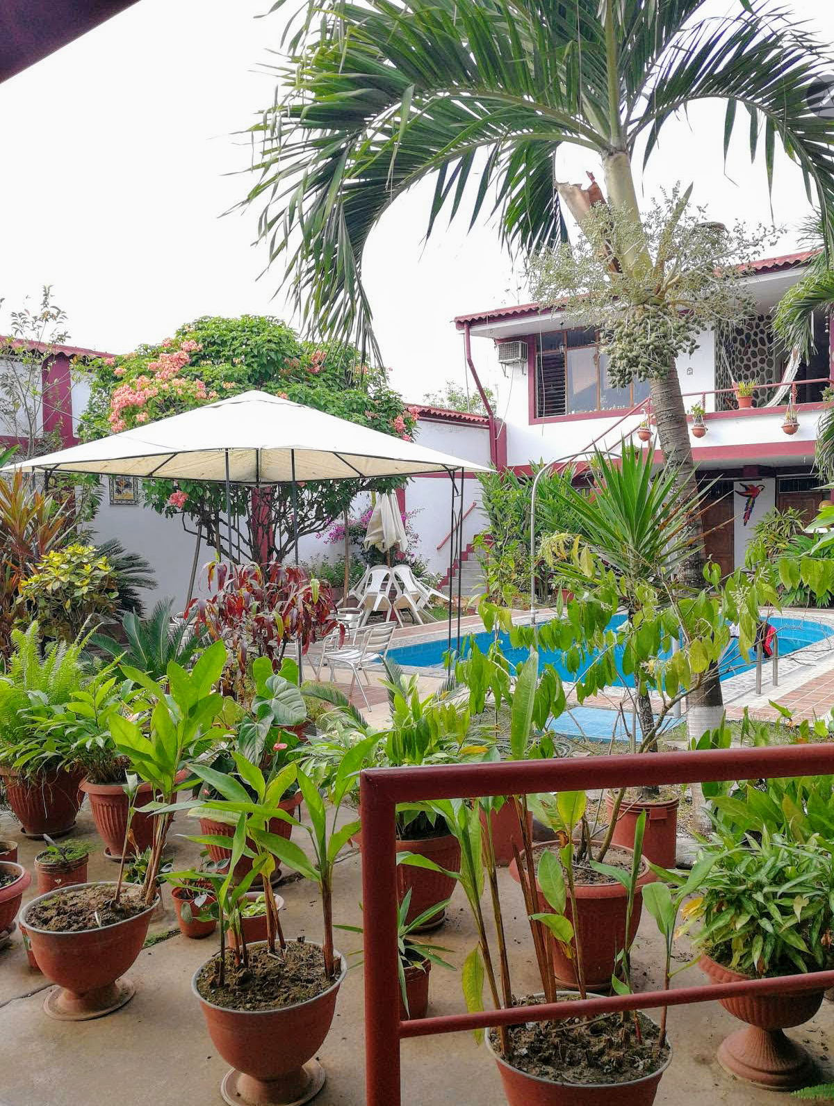 HOTEL CAPRICORNIO EN JUANJUI - SAN MARTÍN, PERÚ