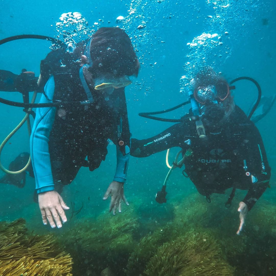 DIVING FOR BEGINNERS