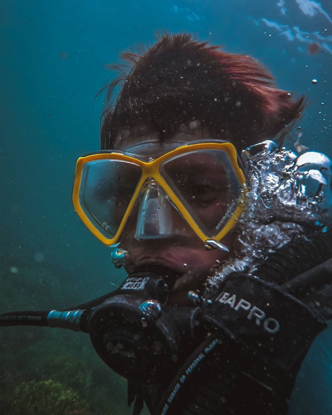 DIVING FOR BEGINNERS