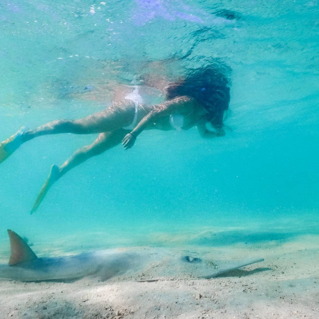 DIVING FOR BEGINNERS