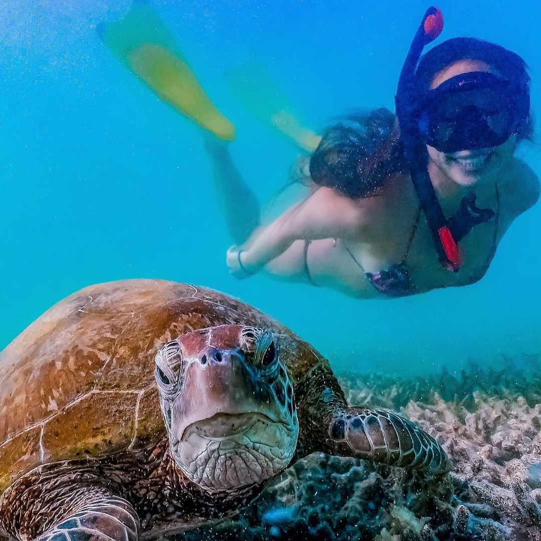 DIVING FOR BEGINNERS