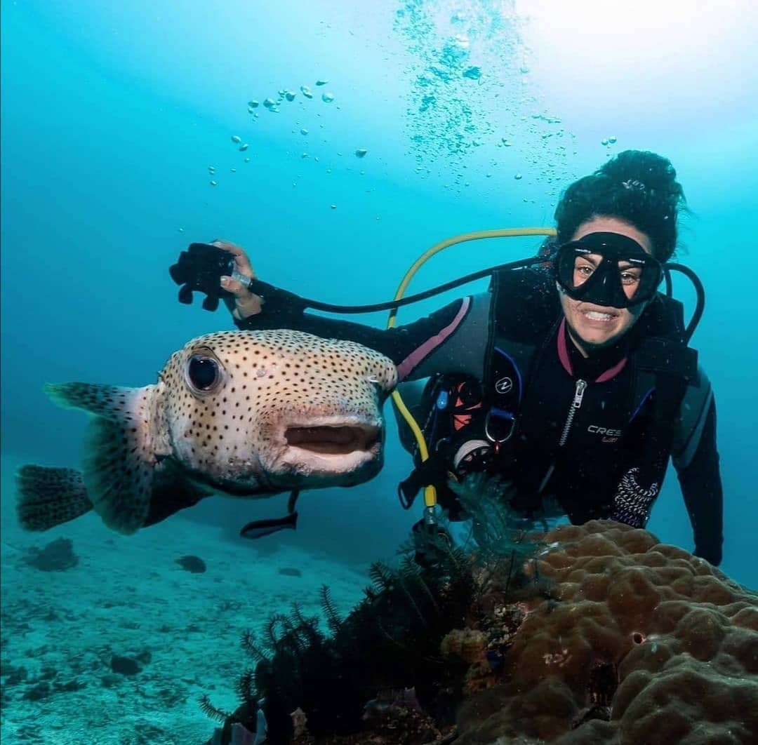 DIVING FOR BEGINNERS