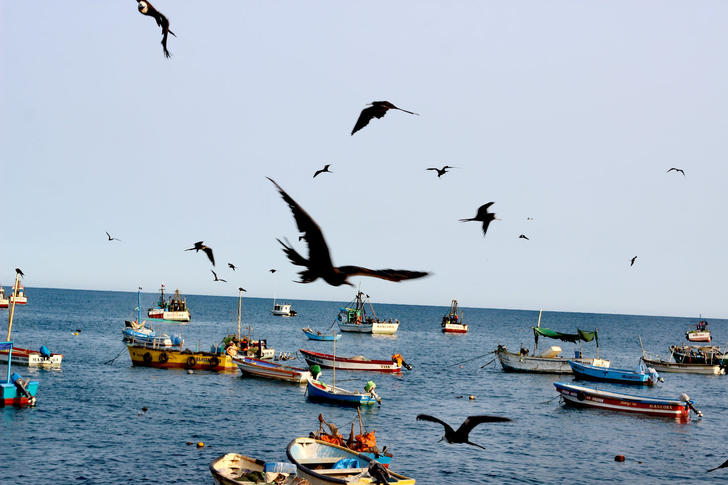 SWIM WITH TURTLES WITH COASTAL RIDE AND CEVICHE ON BOARD IN SLIDER