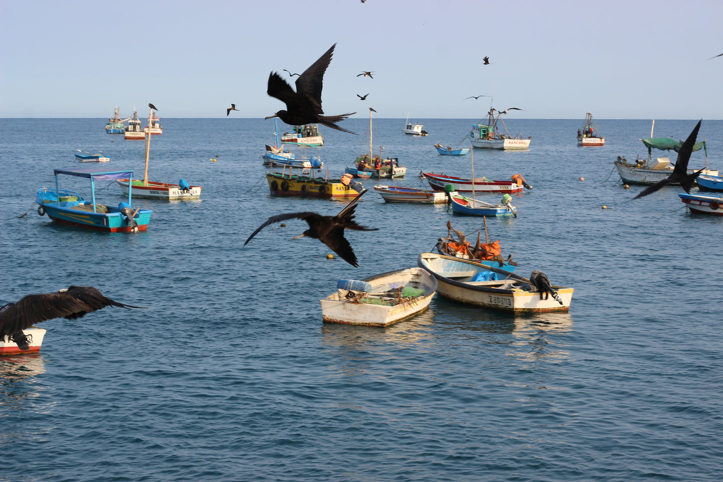 SWIM WITH TURTLES WITH COASTAL RIDE AND CEVICHE ON BOARD IN SLIDER