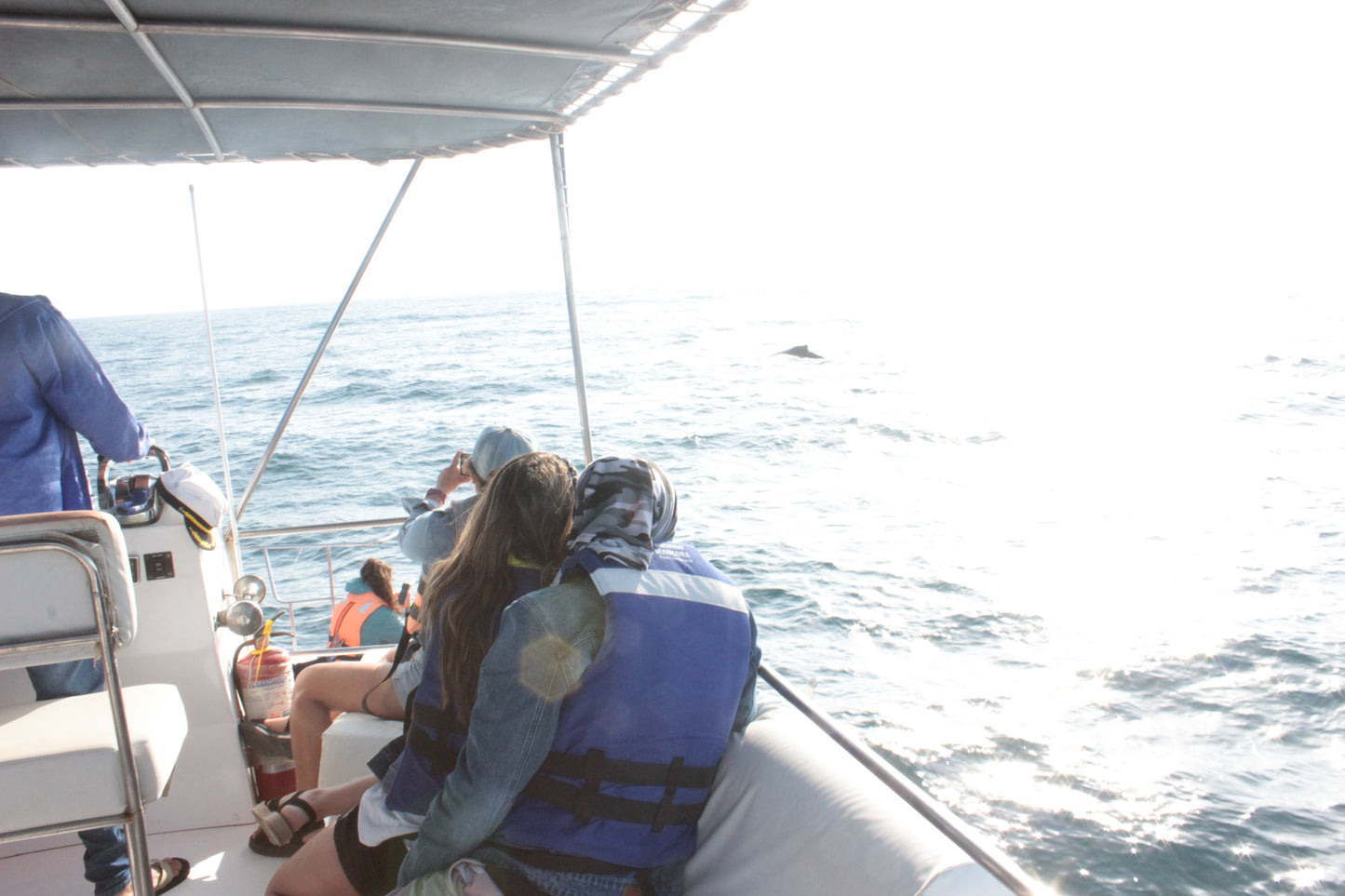 AVISTAJE DE BALLENAS, NADO CON TORTUGAS Y PASEO COSTERO CON CEVICHE ABORDO EN YATE CATAMARAN