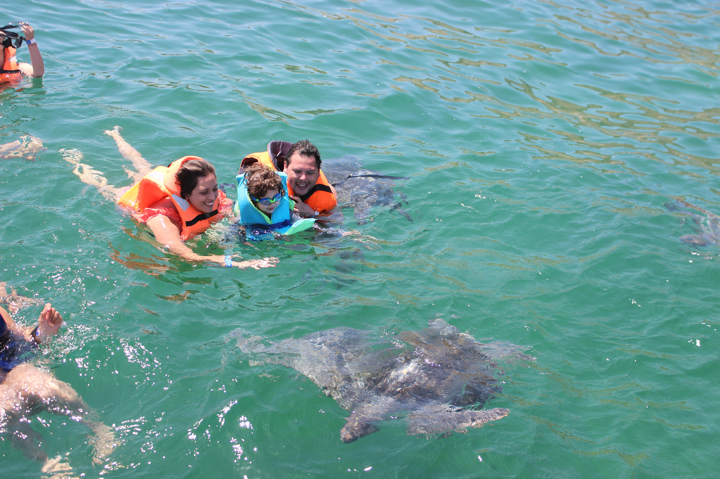 SWIM WITH TURTLES WITH COASTAL RIDE AND CEVICHE ON BOARD IN SLIDER