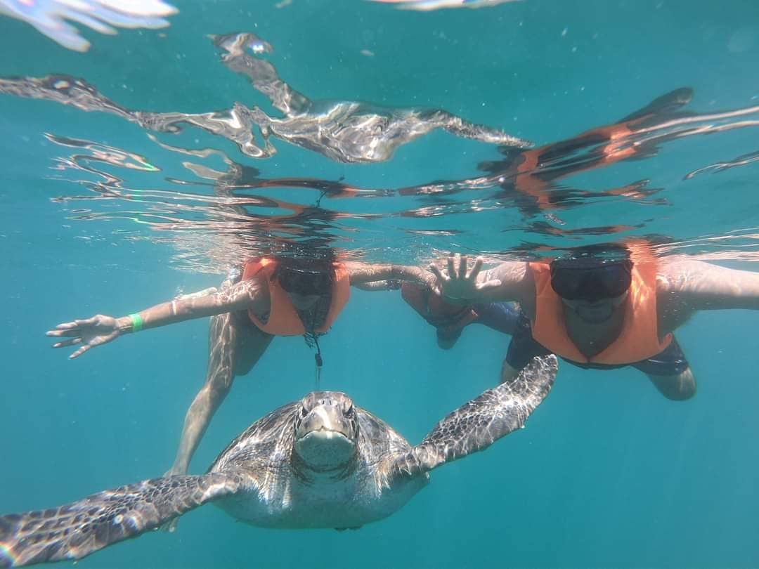 PAQ ESPADA A 5 MINUTOS DEL MAR EN MÁNCORA ~ Desde