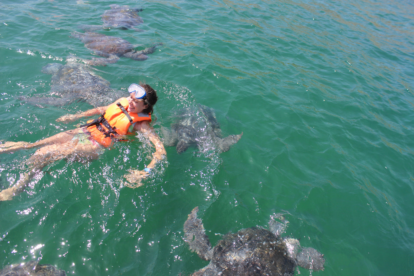 SWIM WITH TURTLES WITH COASTAL RIDE AND CEVICHE ON BOARD IN SLIDER