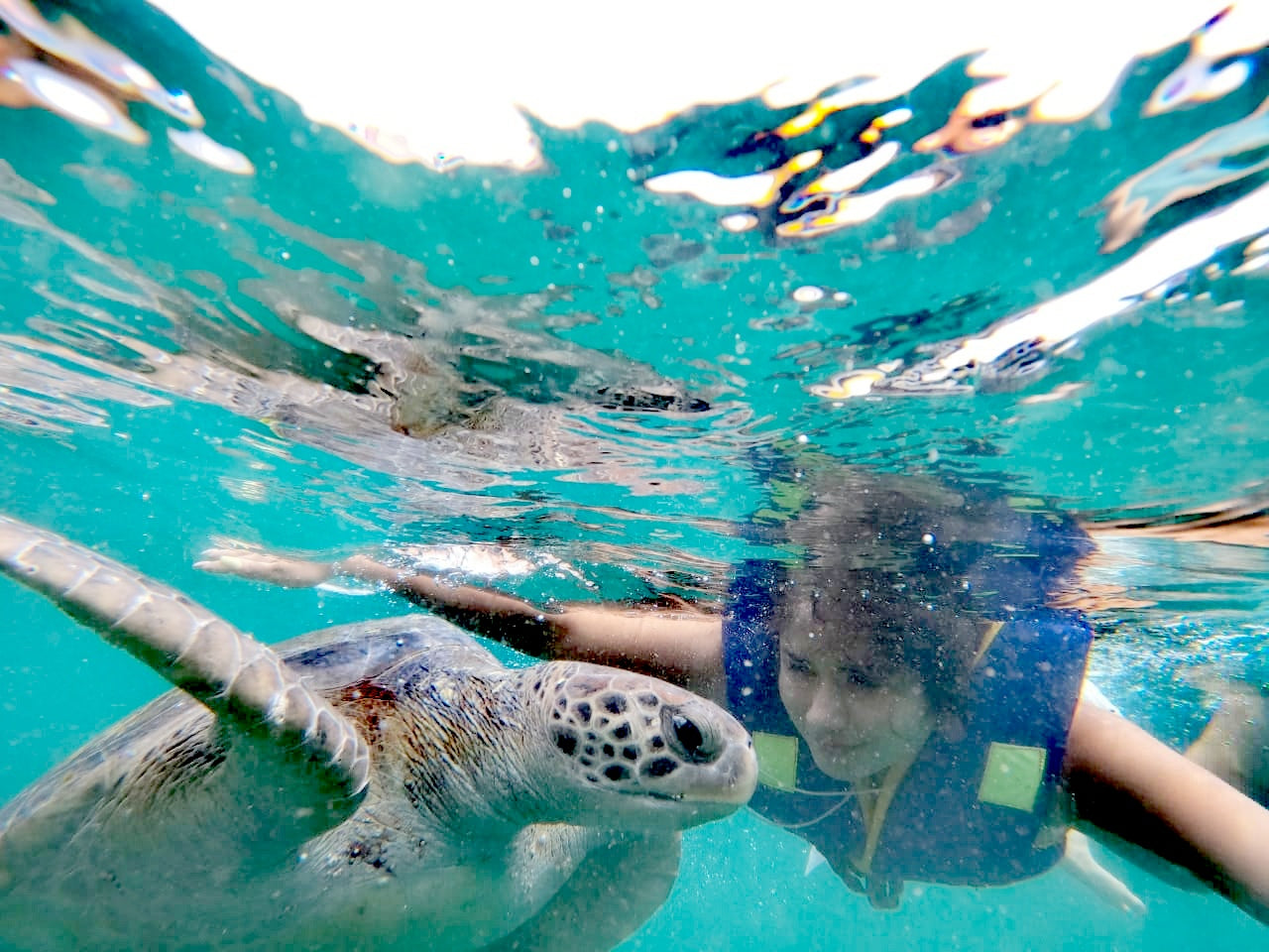 SWIM WITH TURTLES WITH COASTAL RIDE AND CEVICHE ON BOARD IN SLIDER