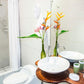 CASA DE PALOS BOUTIQUE TARAPOTO - SAN MARTIN