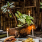 CASA DE PALOS BOUTIQUE TARAPOTO - SAN MARTIN
