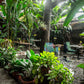 CASA DE PALOS BOUTIQUE TARAPOTO - SAN MARTIN