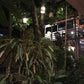 CASA DE PALOS BOUTIQUE TARAPOTO - SAN MARTIN
