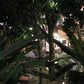 CASA DE PALOS BOUTIQUE TARAPOTO - SAN MARTIN