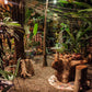 CASA DE PALOS BOUTIQUE TARAPOTO - SAN MARTIN
