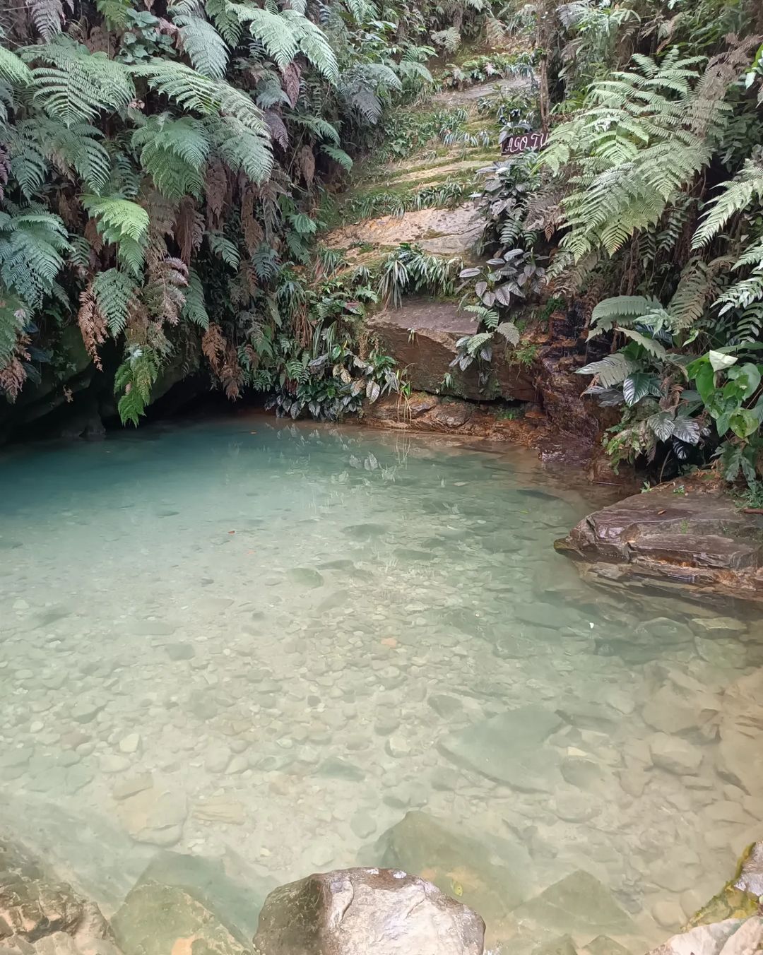 CASCADA SALTO DE LA BRUJA