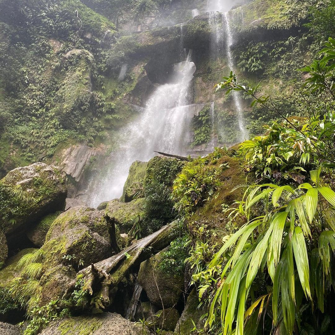 GIORNATA INTERA CASCATA EL BREO