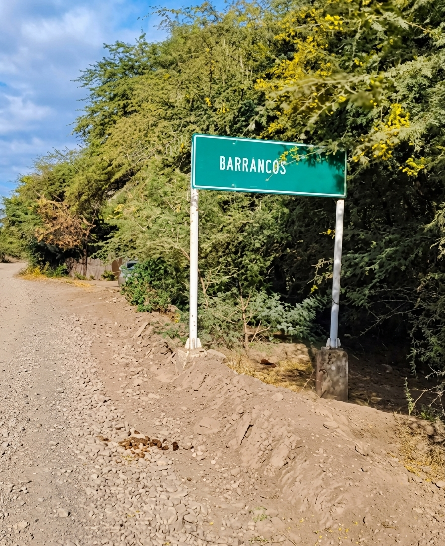 CIRCUITO BOSQUE EXTREMO EN MANCORA