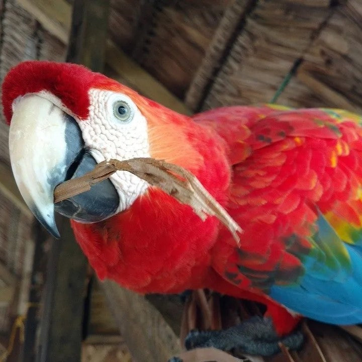 CITY TOUR IN THE CITY OF TARAPOTO