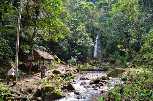 FULL DAY CHANCHAMAYO - Conservando la naturaleza