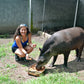 FULL DAY CHANCHAMAYO - Conservando la naturaleza