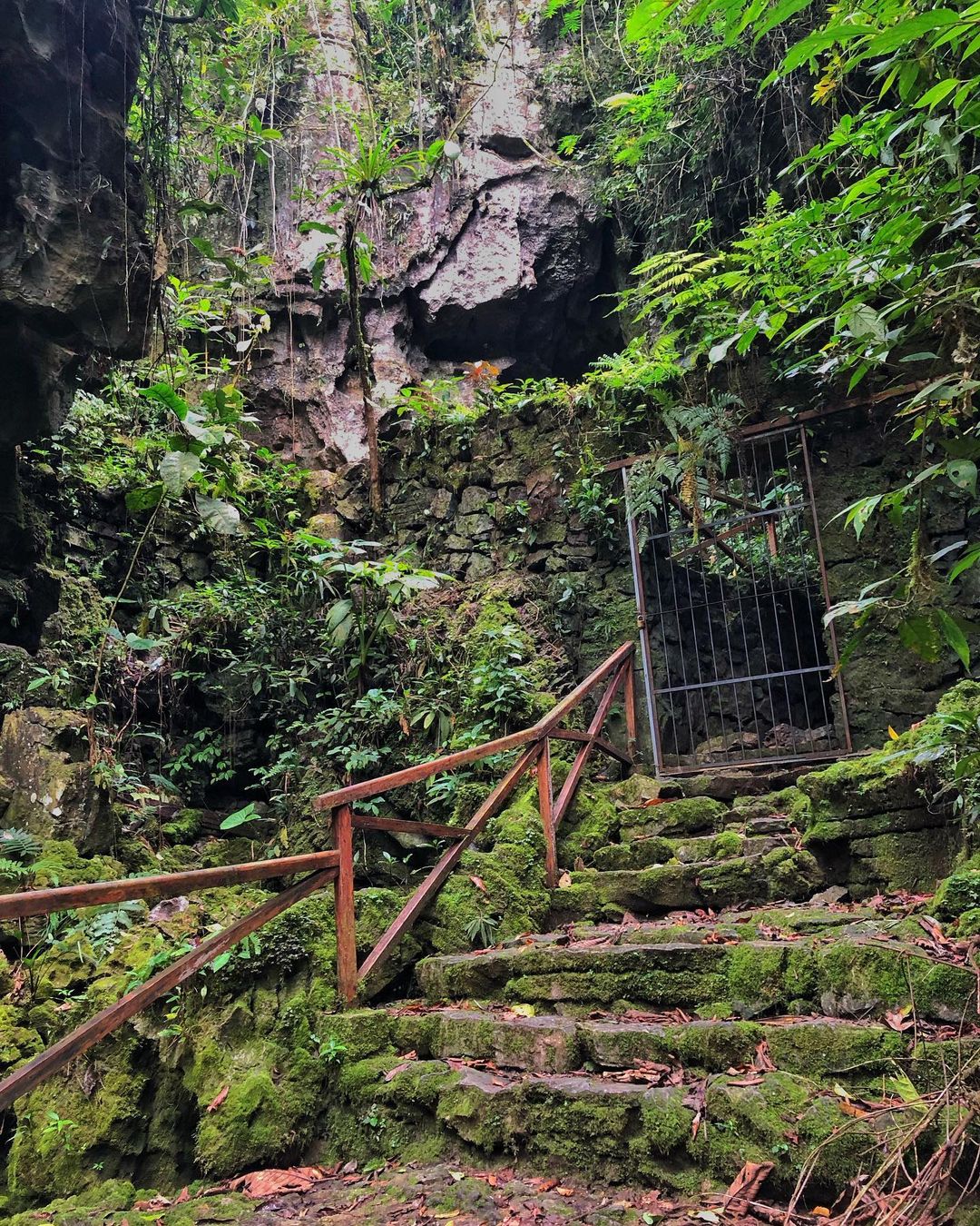 FULL DAY SANTA ELENA Y CUEVA DE PALESTINA