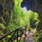 FULL DAY SANTA ELENA Y CUEVA DE PALESTINA