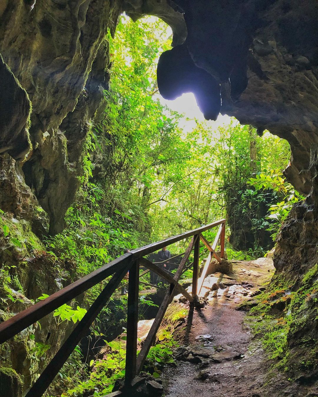 FULL DAY SANTA ELENA Y CUEVA DE PALESTINA