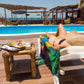 HOSPEDAJE BLUE OCEAN CON PISCINA Y RESTAURANTE VISTA AL MAR EN MANCORA