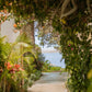 HOTEL DE PLAYA CÓNDOR CLUB & BEACH RESORT PARACAS