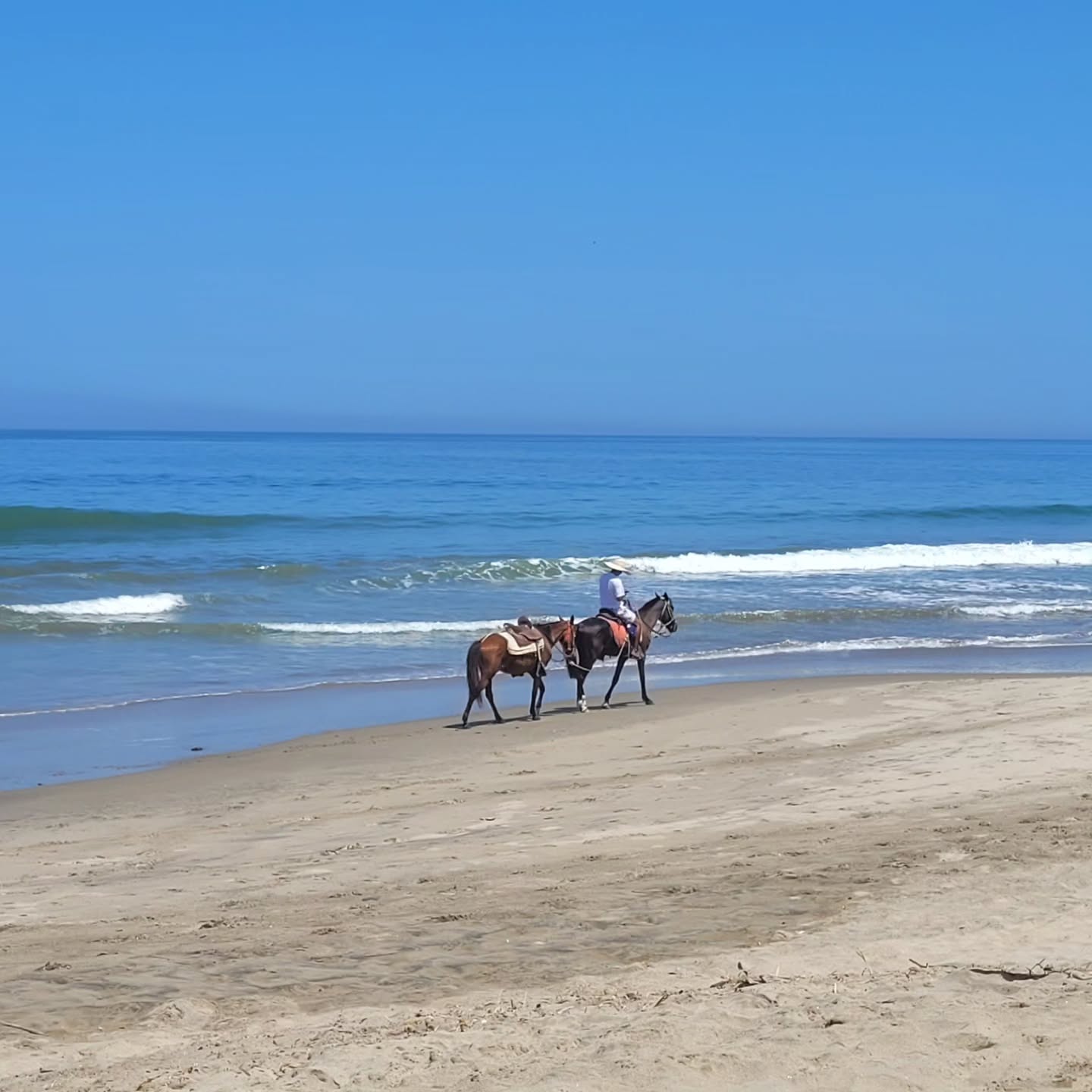 HOTEL DE PLAYA LOS VIENTOS DE VICHAYITO CON PISCINA Y RESTAURANTE VISTA AL MAR