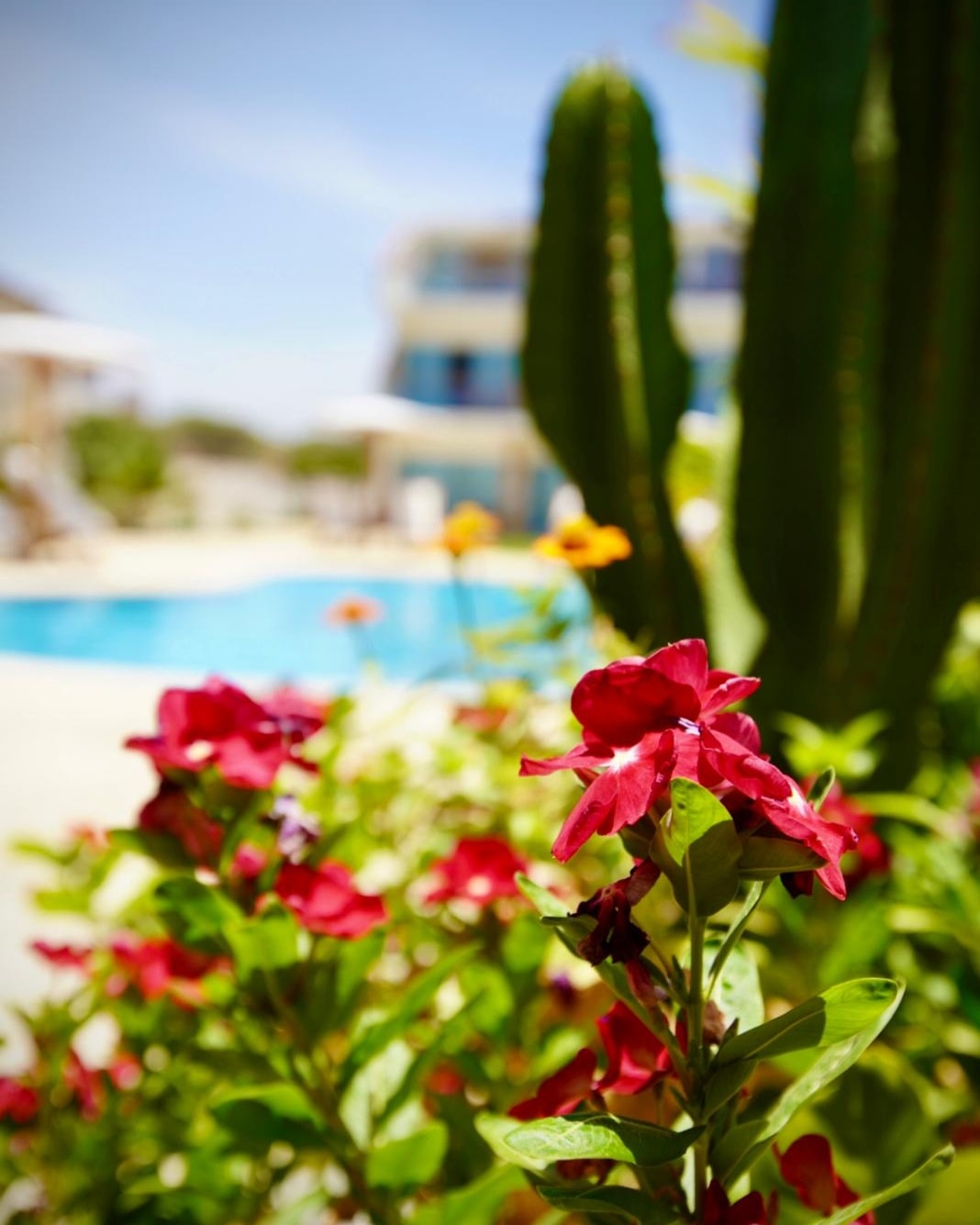 HOTEL DE PLAYA LOS VIENTOS DE VICHAYITO CON PISCINA Y RESTAURANTE VISTA AL MAR