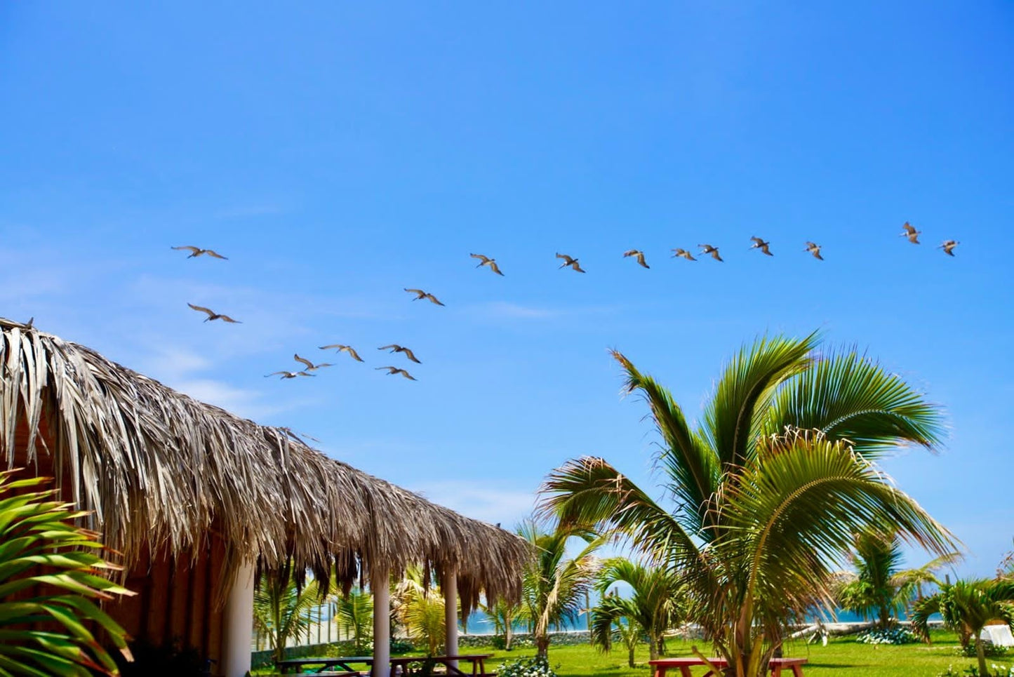 HOTEL DE PLAYA LOS VIENTOS DE VICHAYITO CON PISCINA Y RESTAURANTE VISTA AL MAR