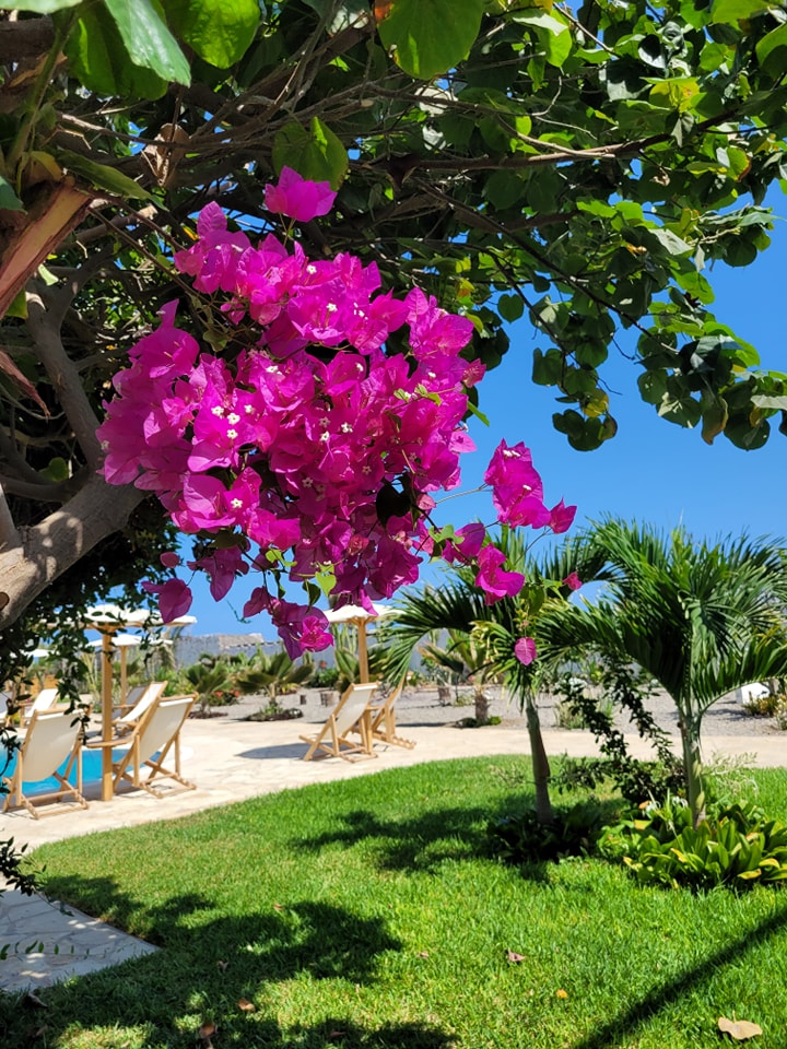 HOTEL DE PLAYA LOS VIENTOS DE VICHAYITO CON PISCINA Y RESTAURANTE VISTA AL MAR