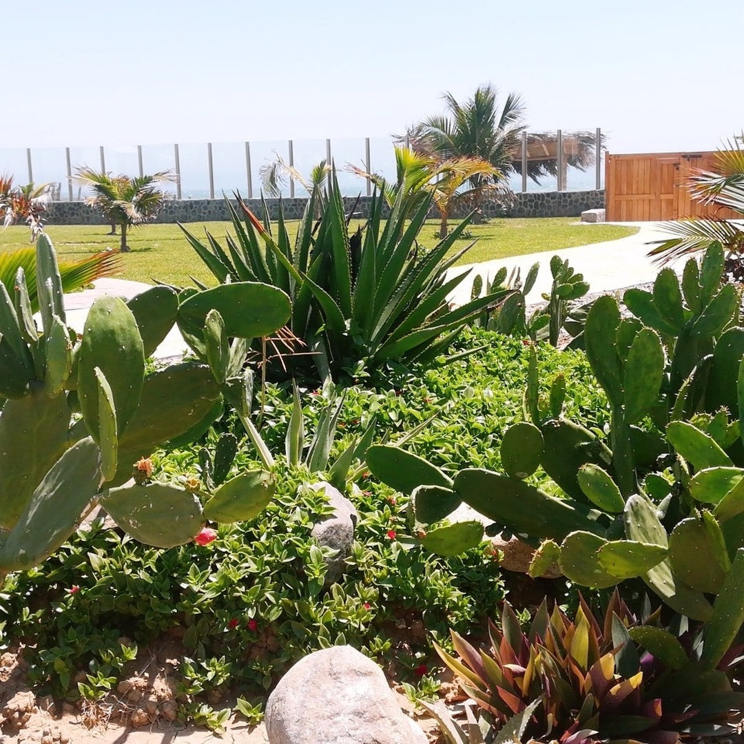 HOTEL DE PLAYA LOS VIENTOS DE VICHAYITO CON PISCINA Y RESTAURANTE VISTA AL MAR
