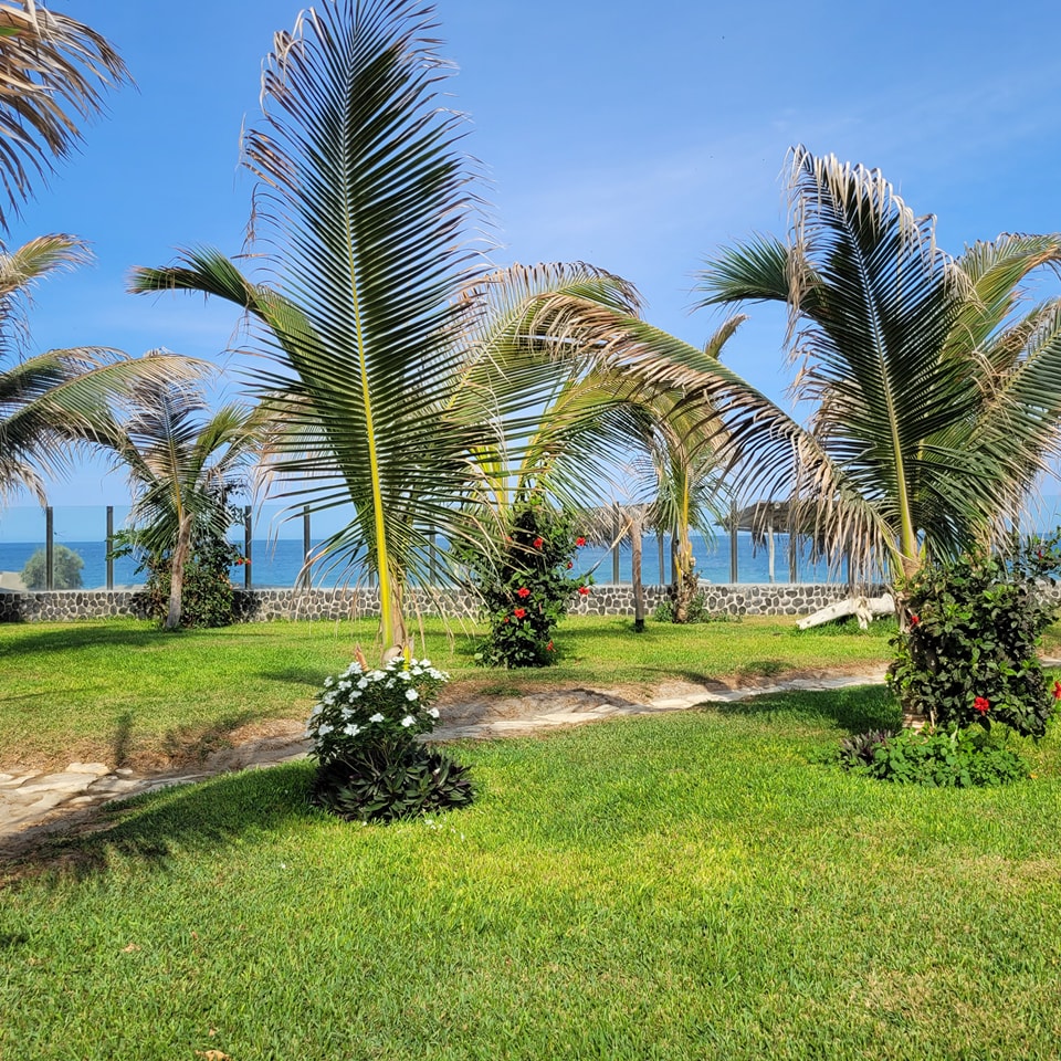 HOTEL DE PLAYA LOS VIENTOS DE VICHAYITO CON PISCINA Y RESTAURANTE VISTA AL MAR