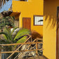 HOTEL PEÑA LINDA BUNGALOWS EN VICHAYITO