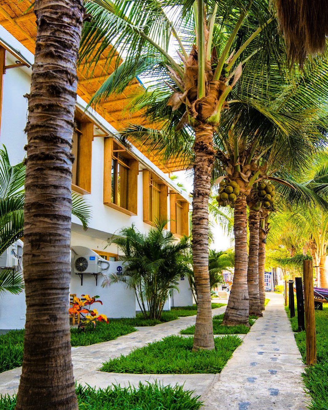 HOTEL DE PLAYA VILLAMOR CON PISCINA Y RESTAURANTE A 2 MINUTOS DEL MAR EN MANCORA